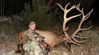 Giant Trophy Bull Elk Hunt Video  White Peaks [upl. by Rossi]