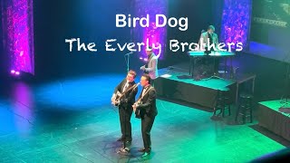 The Everly Brothers  Bird Dog Walk Right Back Canada Tour 🇨🇦2024 [upl. by Atinev1]