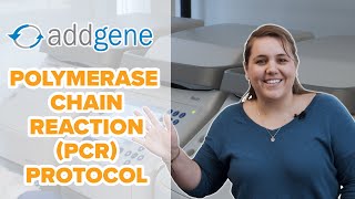 Polymerase Chain Reaction PCR Protocol [upl. by Mullins]