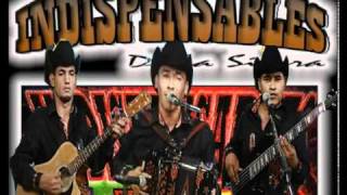 LOS INDISPENSABLES DE LA SIERRACLAVE 01mp4 [upl. by Lyford]