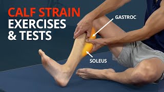 Calf Strain Rehab Exercises and Tests Gastrocnemius or Soleus [upl. by Sailesh]