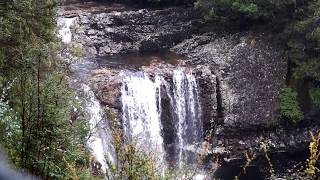 Cradle Mountain Rainforest Walk Pencil Pine Falls  Tasmania Australia [upl. by Guillema]