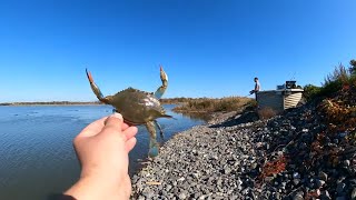 Crabbing in Southern New Jersey  Matts Landing [upl. by Mada402]