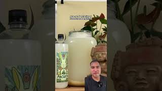 ¿Cómo hacer pulque🥛 Aprende el proceso de producción del pulque pulque pulquepachita [upl. by Vita602]