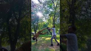 fight  part 16  knockout fight  parkour vs karate fight  kickboxing kick  Fight jump  shorts [upl. by Vander]