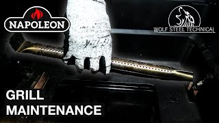 Napoleon Grill Cleaning amp Maintenance [upl. by Hcirdla]