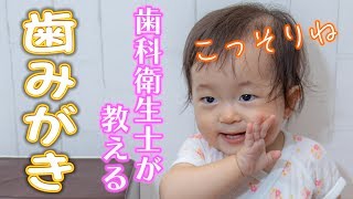 歯科衛生士さんに教わる！ 1歳児の歯みがき【生後1年1ヶ月お役立ち】 How to tooth brushing [upl. by Edorej149]