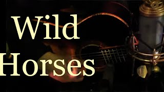 Rolling Stones  Gram Parsons  Wild Horses  Acoustic Cover  Yes The Raven [upl. by Nodal146]