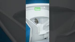 just flush your toilet rat mouse funny [upl. by Anuahsat]