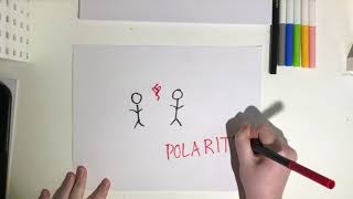 what is POLARITY [upl. by Gunning692]