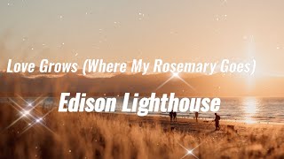 Love Grows Where My Rosemary GoesEdison LighthouseKaraoke amp Lyrics [upl. by Weeks]