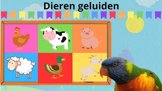 12 Dierengeluiden op de Boerderij ☆ Nederlandse kinderfilmpjes voor babys peuters en kleuters ☆ [upl. by Nahpets]