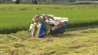 mini harvesters in japan [upl. by Saito783]