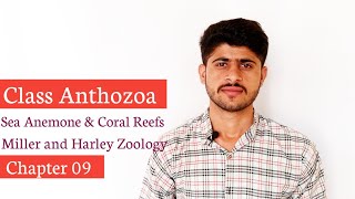 Class AnthozoaSea Anemone Structure and Reproduction Miller and Harley ZoologyChapter 09 [upl. by Aititel]