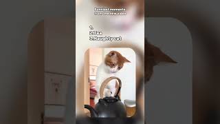 Funny video of Pets v32  TRY NOT TO LAUGH 😂 [upl. by Sylvia]