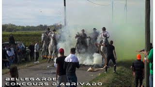 BELLEGARDE CONCOURS DABRIVADO 16102016 [upl. by Eckel876]