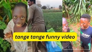 Tange Tange Funny Video Part 3  tange tange viral video  comedy thing thing [upl. by Laban]