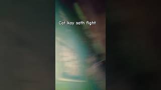 Cat kay sath fight [upl. by Eilasor362]