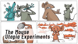 Universe 25 The Mouse Utopia Experiments sproutsschools universe25 behavior [upl. by Kobylak]