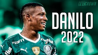 Danilo 2022 ● Palmeiras ► Skills Goals amp Tackles  HD [upl. by Aitnis404]