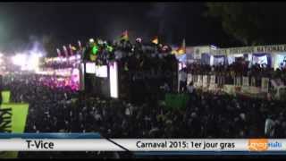 Carnaval 2015  performance de TVice 1er jour [upl. by Adnohser]