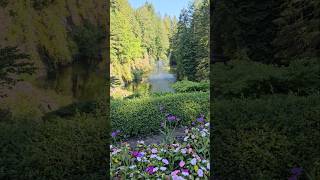 Butchart Gardens ButchartGardens victoriabc waterfountain flowers canada [upl. by Antonin462]