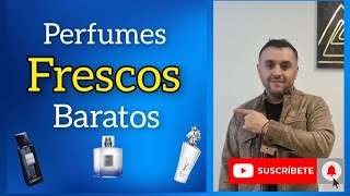 Perfumes BARATOSLOW COST FRESCOS 2023 [upl. by Atsillac]