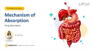 Pharmacokinetics Drug absorption and distribution [upl. by Niasuh]