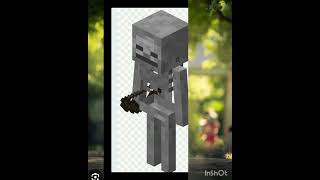 Minecraft skeleton VS mobs and Herobrine [upl. by Nywrad654]