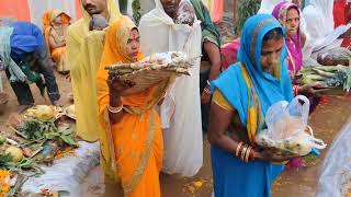 CHHATH PUJA 2024 JAFARPUR KALAN NEW DELHI 73 [upl. by Yale]