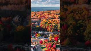 Peak Fall Foliage on the Shores of South Haven MI [upl. by Emmons483]