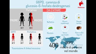 Da cosa è causato il favismo  Sistema del Glutatione ROS Superossido DismutasiCatalasi [upl. by Novahc499]