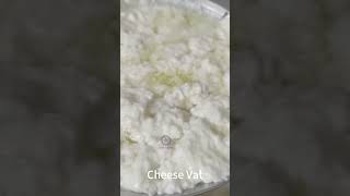 How to make mozzarella cheese dairy cheese [upl. by Ause966]