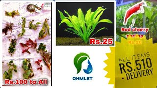 Low Take Aquarium Plants 🪴  OHMLET SHOPPE [upl. by Notnef172]