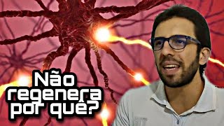 1 DETERMINANTES da regeneração axonal  Artigo de Revisão [upl. by Ary]