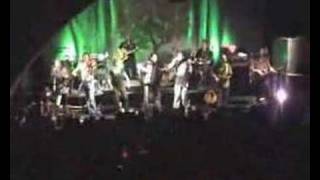 Modena City Ramblers  Bella Ciao  Live  Krossower [upl. by Onofredo351]