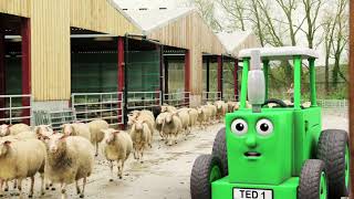 Tractor Ted  Hello Ewe [upl. by Anaoy349]