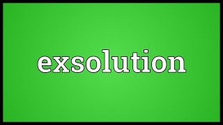 Exsolution Meaning [upl. by Kerry]