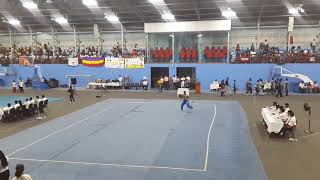 All Island School Wushu Meet at Panagoda Army Camp  2017 [upl. by Ahsienek]