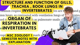 Structure and function of Gills  book lungs trachea in invertibrat  Notes and explanation for msc [upl. by Kung]