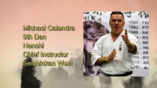 Seisan Kata amp Bunkai Michael Calandra 9th Dan Hanshi [upl. by Ahsikym]