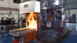 Heat Treatment Process [upl. by Annairam999]