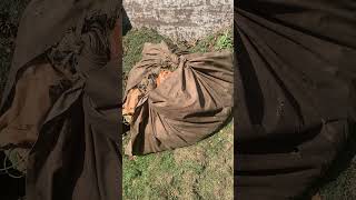 How NOT to leave full tarps behind tarps landscaper lawncare lawnmaintenance blowers [upl. by Oinotla]