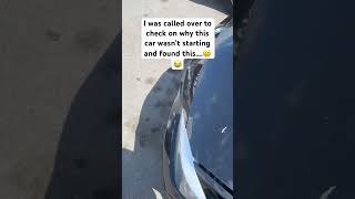 I think we can figure out why the car isn’t starting🤣 cars jdm youtubeshorts funny viralvideo [upl. by Kolva]