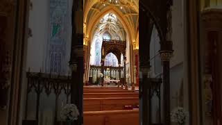 Great Pipe Organ  Saint Patricks Cathedral in NORWICH CT  Absolutely Epic [upl. by Danais]