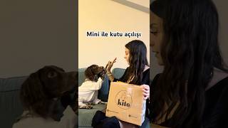 Mini Kito Pet Food Paketini açıyor [upl. by Merow218]