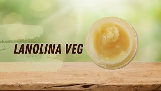 Como Fazer Lanolina Vegetal Caseira [upl. by Airdnalahs93]