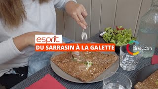 Du sarrasin à la galette [upl. by Atikal]