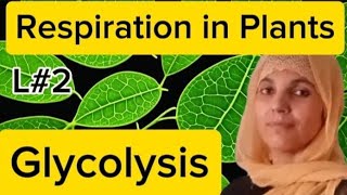 Plant PhysiologyL2Glycolysis Respiration in plantsNEETMDCATall Board Exam [upl. by Cuhp]