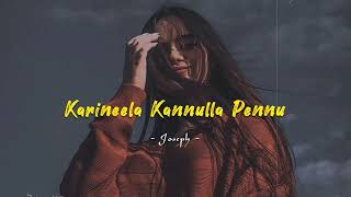 Karineela Kannulla Pennu  Slowed and Reverb  Joseph Movie [upl. by Ahseinet367]